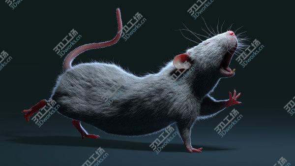 images/goods_img/20210312/Rats Collection (Rigged) 3D model/3.jpg